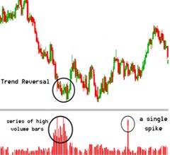 Trading Volume