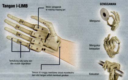Keajaiban tangan manusia